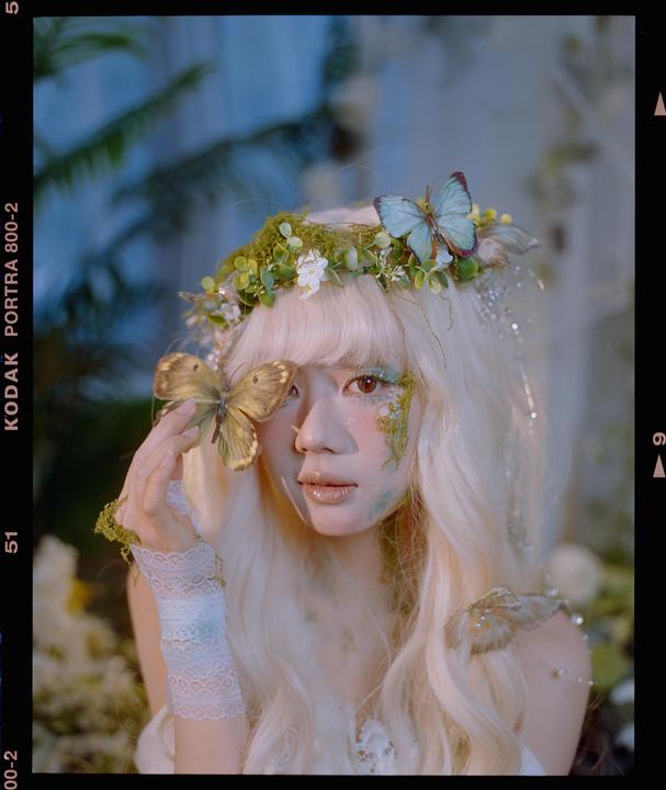 Out of the Woods || Pentax 67ii || SMC 90mm f2.8 || Kodak Portra 400/800