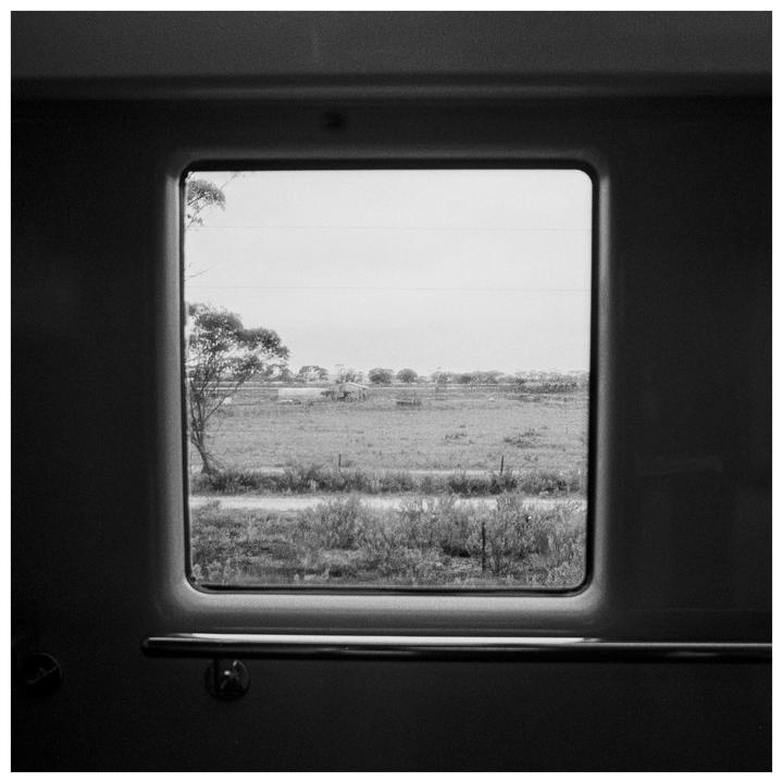 A view of wheatfields and trees is seen through a train window.