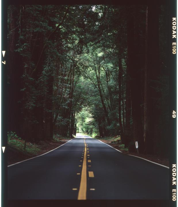 Moving Along | Mamiya RB67 | E100