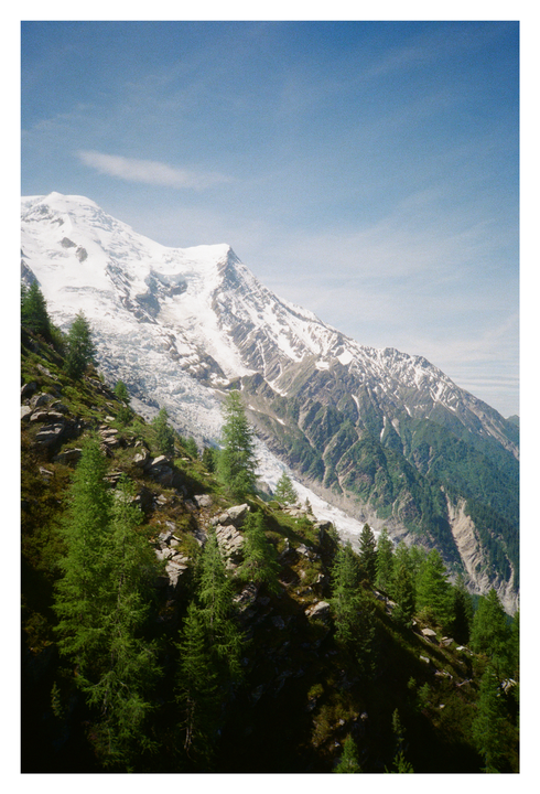 Views From The Cable Car [Olympus XA, Superia 400]