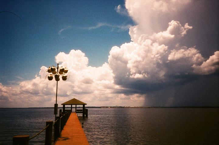 A comparison: [Cardia Cute Date/ Harman Phoenix 200] vs. [Olympus Infinity Stylus/ Kodak Max 400 (expired in 2003)] vs. iPhone 12 Pro