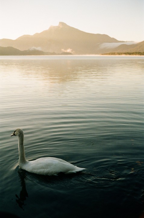 Salzkammergut, Austria [Canonet 28, 40mm, Kodak Gold 200]
