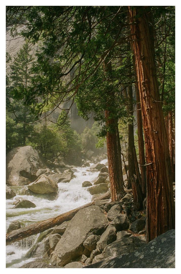 Yosemite | Olympus OM1 | UltraMax400, shot on olympus om-1 with kodak ultramax 400
