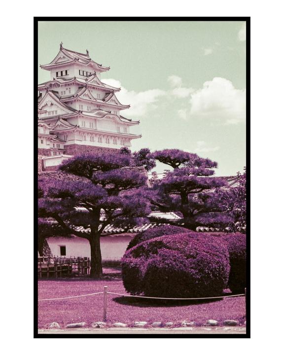 姫路城 (Himeji-jō) Himeji Castle on Lomochrome Purple | Minolta XD | 17mm f2.8