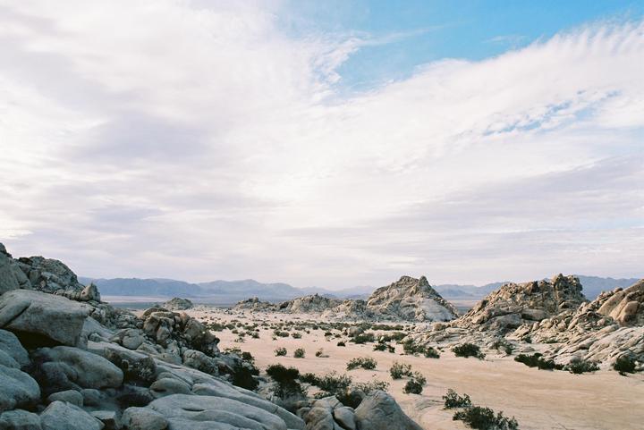 Mojave Vistas