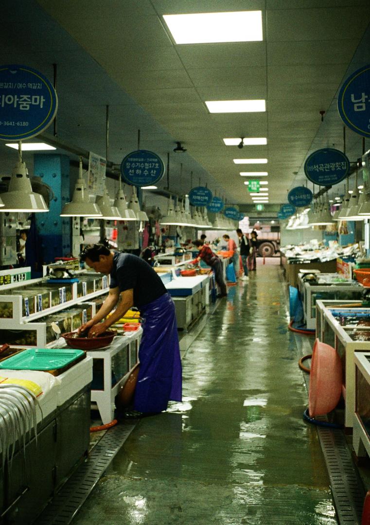 Busan Fish Market [Fuji 400, Olympus Pen EE3]
