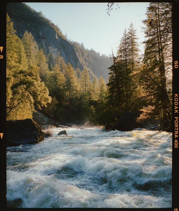 Yosemite National Park | Mamiya 7ii | Kodak Portra 400