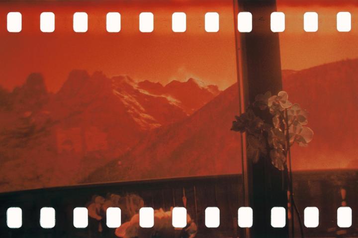 Interesting LomoChrome Turquoise E6 result [Holga 120]