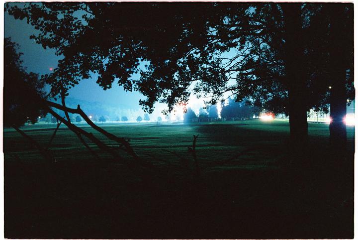 Can I get some thoughts/critique on my photos?