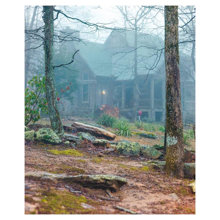 A rustic cabin with a lit window is nestled in a foggy forest.