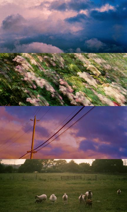 Earth, Sky [Nikon FM | 28mm f2.8 + 105mm f2.5 | Fuji Venus 800]