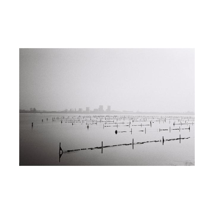 A body of water with many poles and buoys has a city skyline in the distance under a hazy sky.