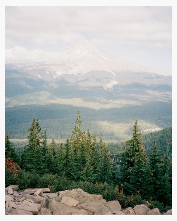 A snow-capped mountain rises above a forest with rocks in the foreground.
