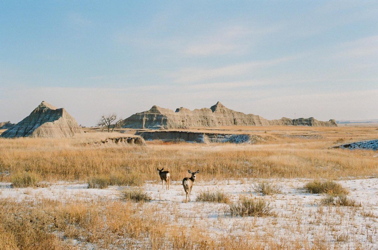 image 35798 by commiedeschris