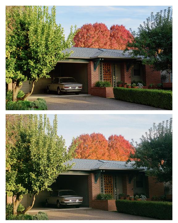 Pentax K1000 [Bottom, 50mm, Portra 400] vs Sony A7ii [Bottom, 50mm]