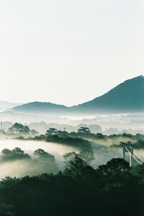 A lovely morning on the hill [Nikon F100, Nikon 70-210mm f4, Kodak Vision 3 250D]