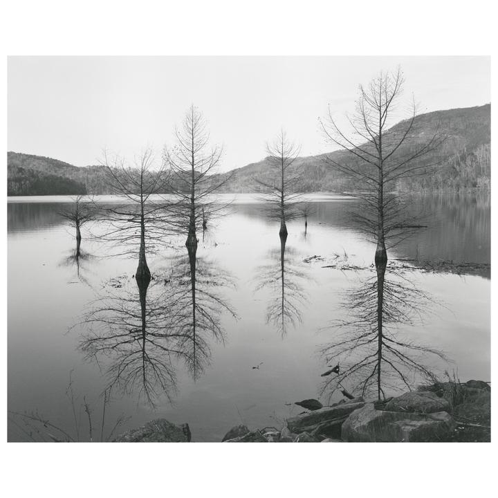 Getting into large format and loving it. Wista 45n, Fujinon 150mm, Hp5.