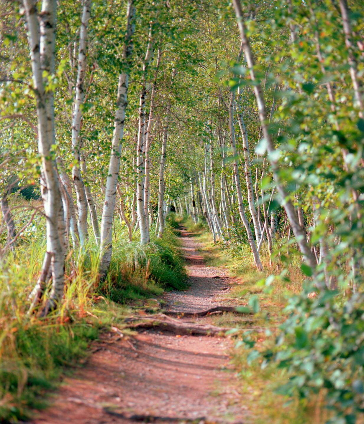 image 36276 by Uber_Name