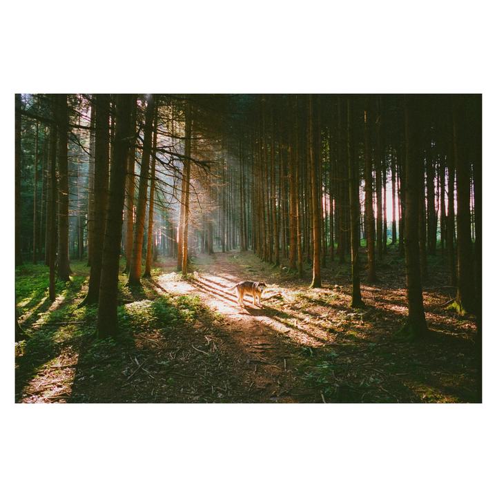 Recent Snaps | Leica MP + Elmarit 28 | Portra 400