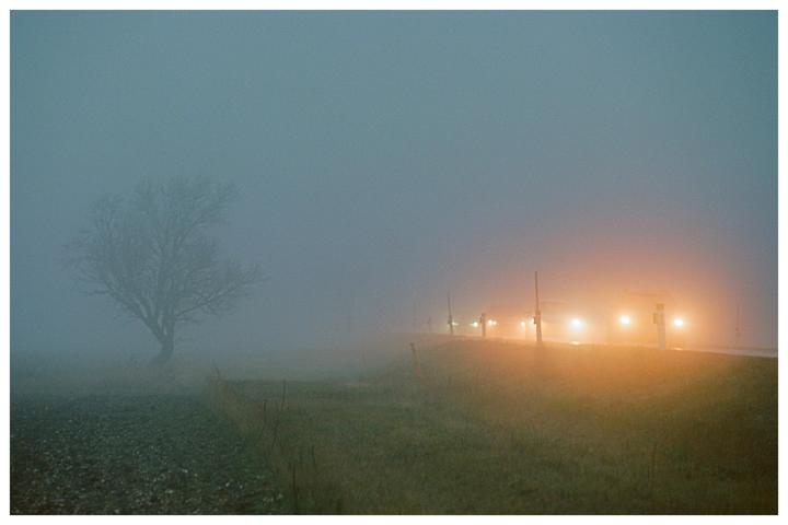 In dense fog [Nikon F100, Ektar 100]