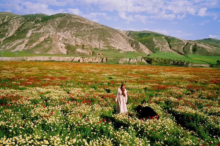 A Road Trip Around Morocco | Leica M4-P, Biogon 28mm, Ektachrome 100