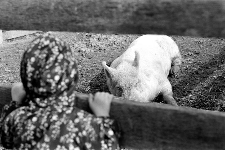 Kentmere 100 | Eco Pro 1:1 | yellow filter