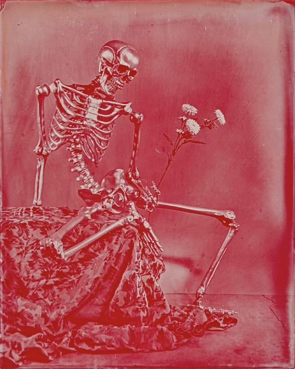 Finally Tried Out Wet Plate on a Sheet of Red Acrylic. Century Studio No 8, Nikkor 210mm, Wet Plate Collodion.