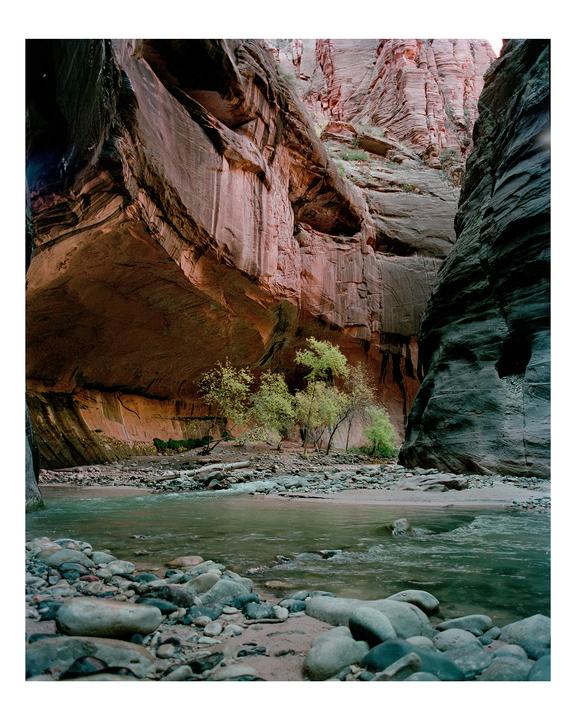 Narrows Oasis [Mamiya RB67//50mm f/4.5//Fuji Pro400H]