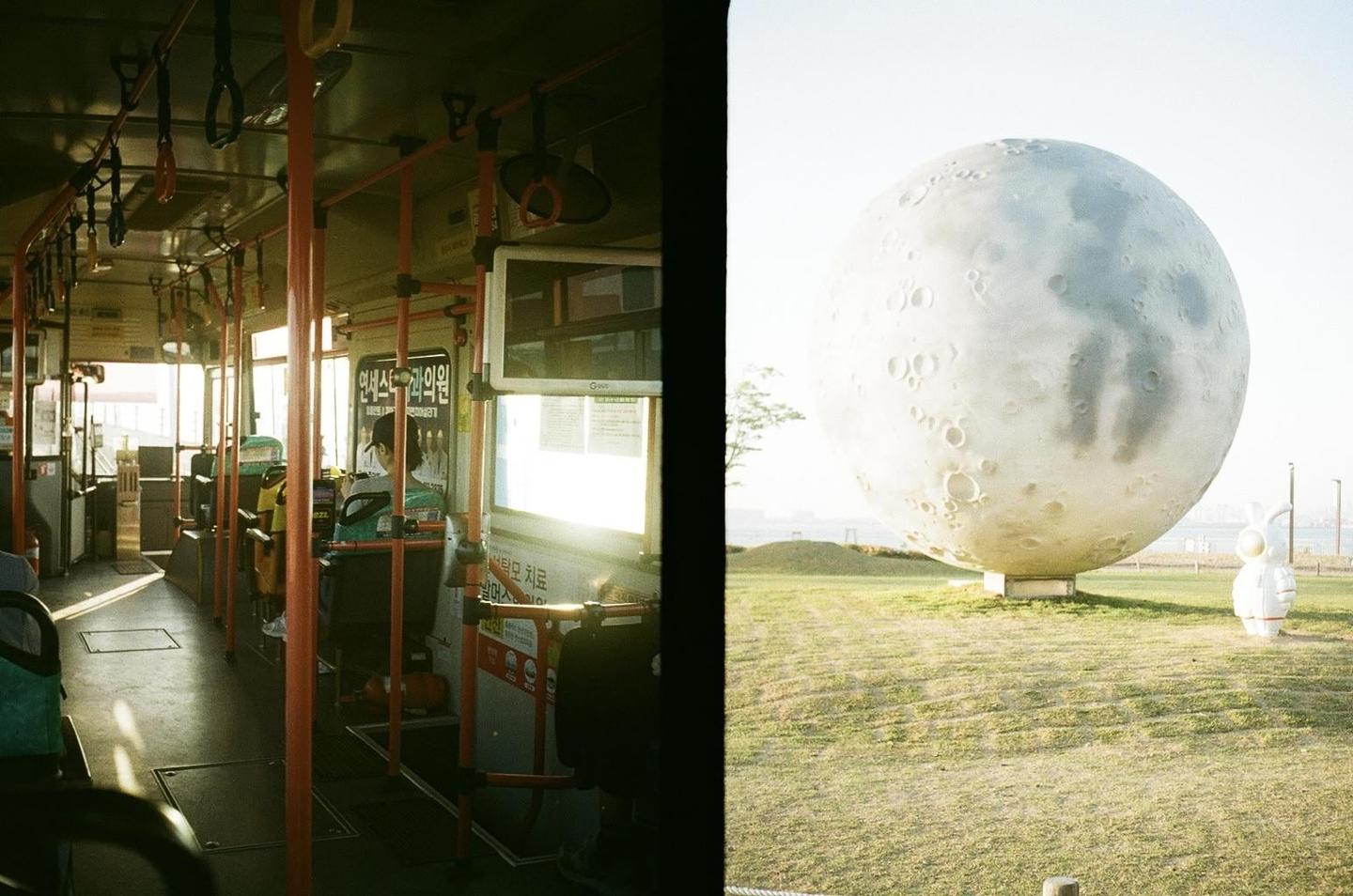 image 18930 by Noveltypocket