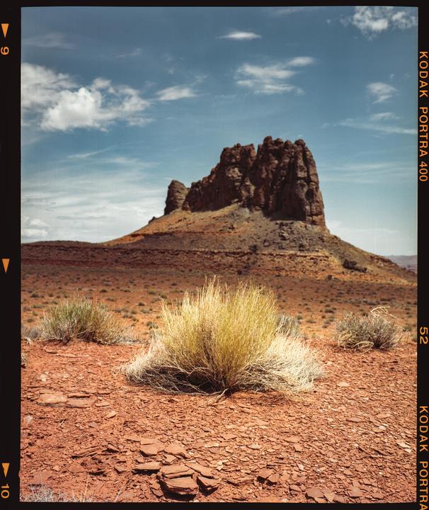 Wild Western · Mamiya 7ii 80MM · Kodak Portra 400