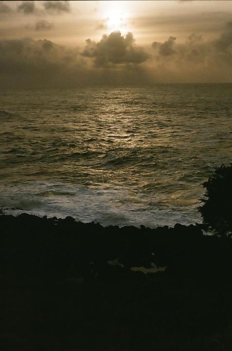 First roll ever (Canon AE-1, 50mm f1.8, Kodak Ultramax 400)