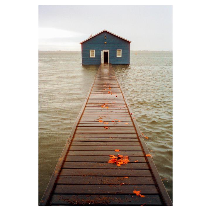 The blue boat house - Bessa R2a • Summicron 35mm • Cinestill 400D