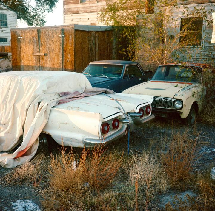 Three old cars are parked in a lot with overgrown weeds next to a weathered building.
