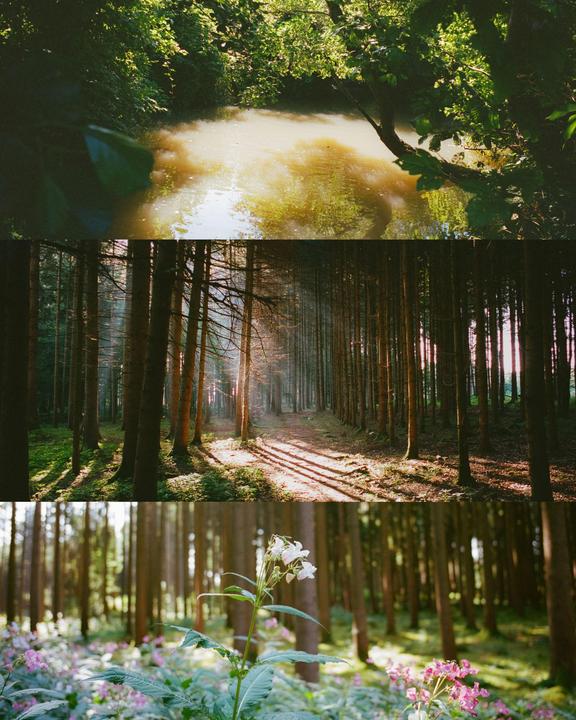 End of Summer | Leica MP + Elmarit 28 | Portra 400