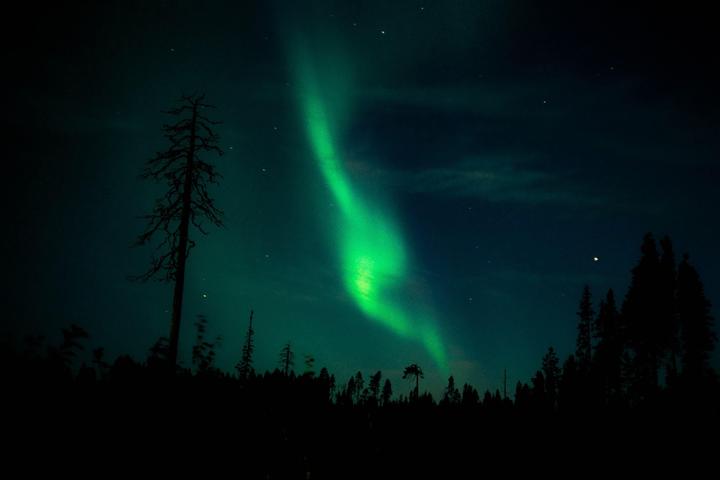Northern Lights [Olympus 35 RC, Portra 400]