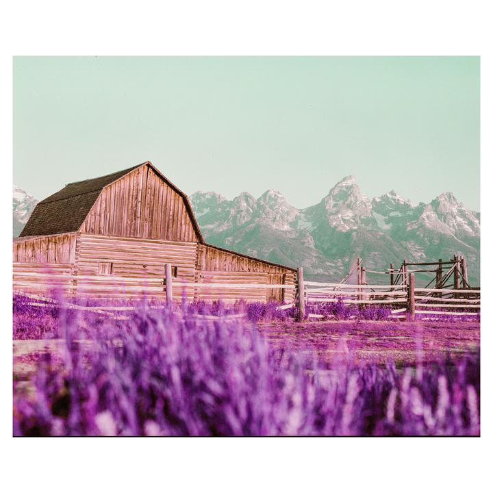 (Pentax 67ii, 105mm 2.4, Lomo purple shot at 200)