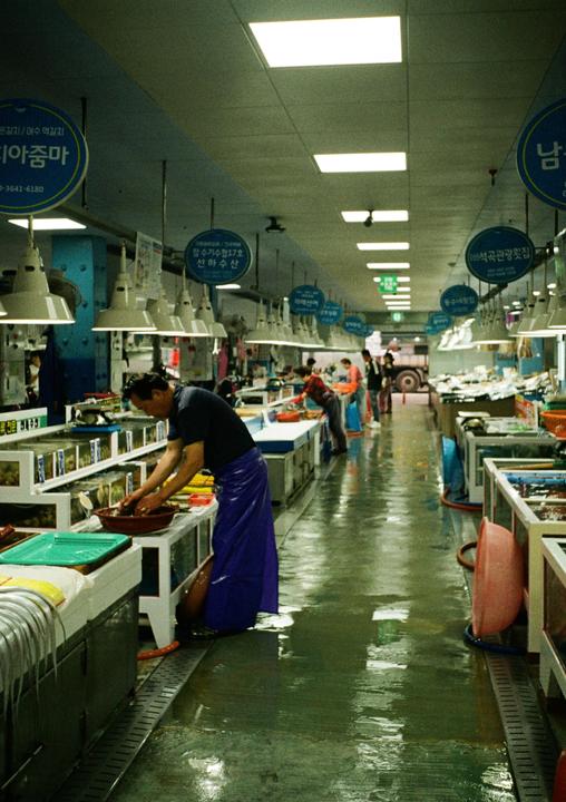 Busan Fish Market [Fuji 400, Olympus Pen EE3]