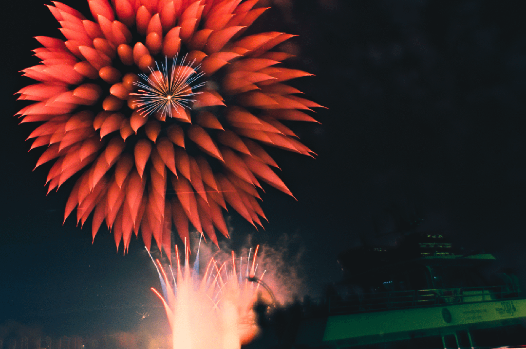 4th of July flowers [Nikon F/F3, 35mm 1.4/105mm 2.5, EXR 5248/Vision2 500t Expired], tagged red
