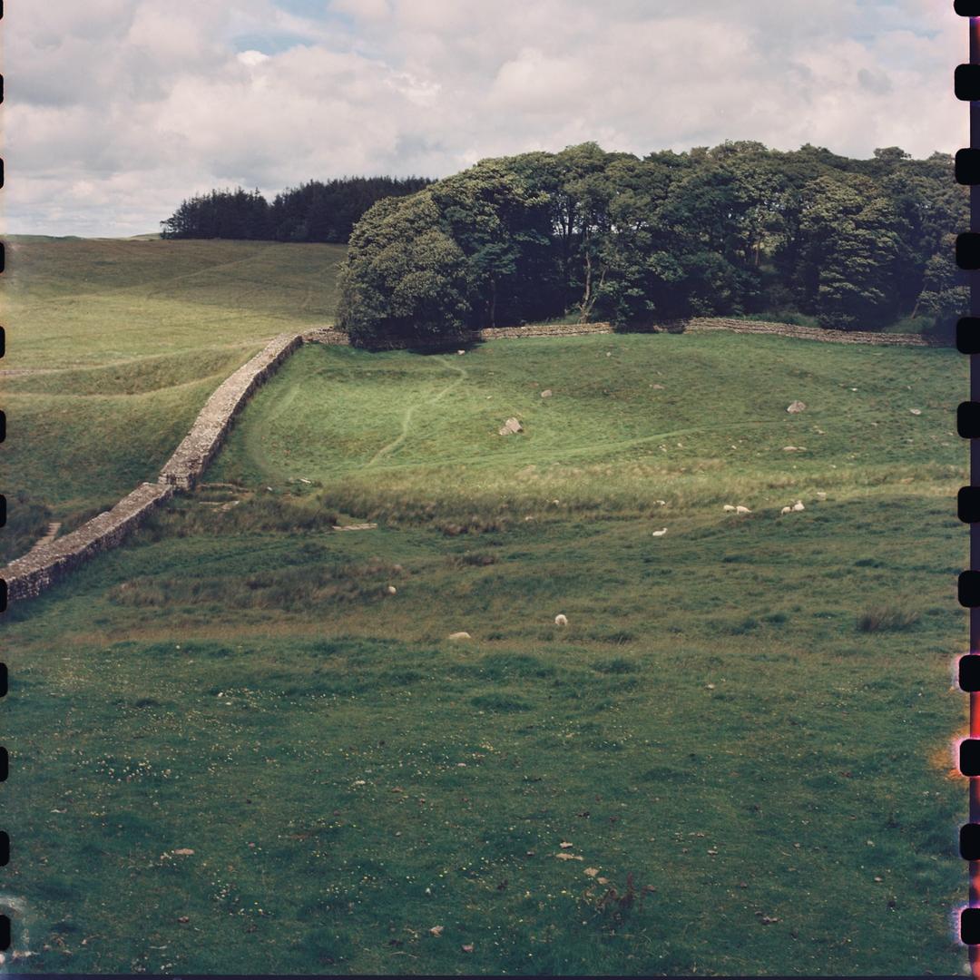 image 35946 by psbirch