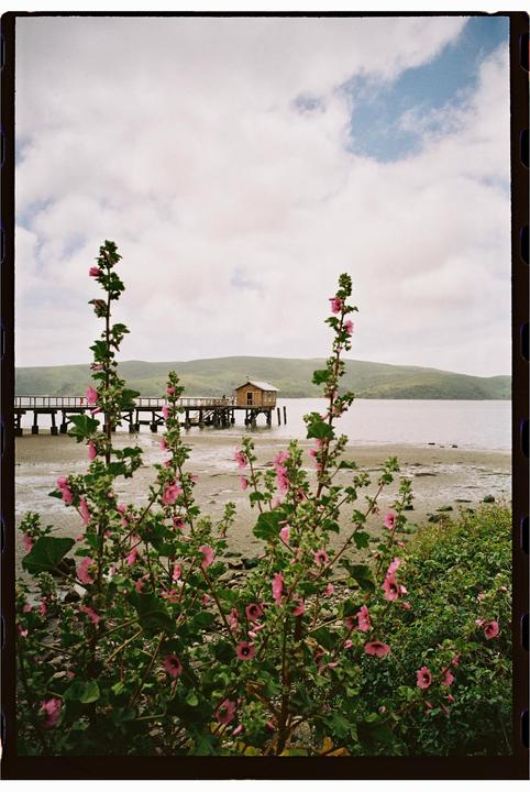 Day trip to the coast [nikon 28ti + Kodak gold]