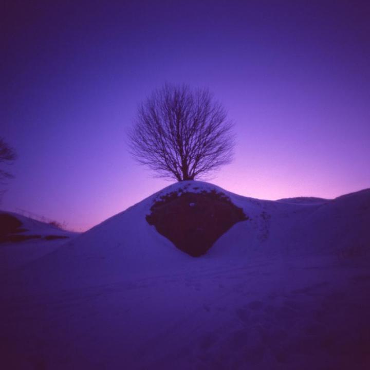Gunpowder magazine B67 | Vermeer 66 pinhole | Kodak Ektachrome 200 VS (expired)