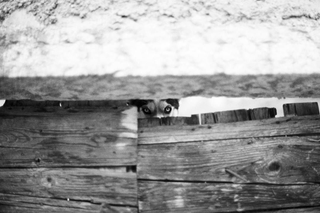 image 7229 by alex_neri