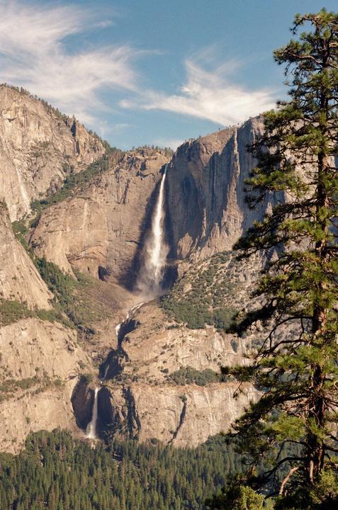 A tall waterfall cascades down a rocky mountain face, with a pine tree in the foreground.