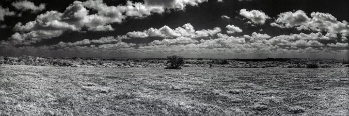 A panoramic landscape shows a field of grass with a single tree in the middle distance under a sky filled with clouds.
