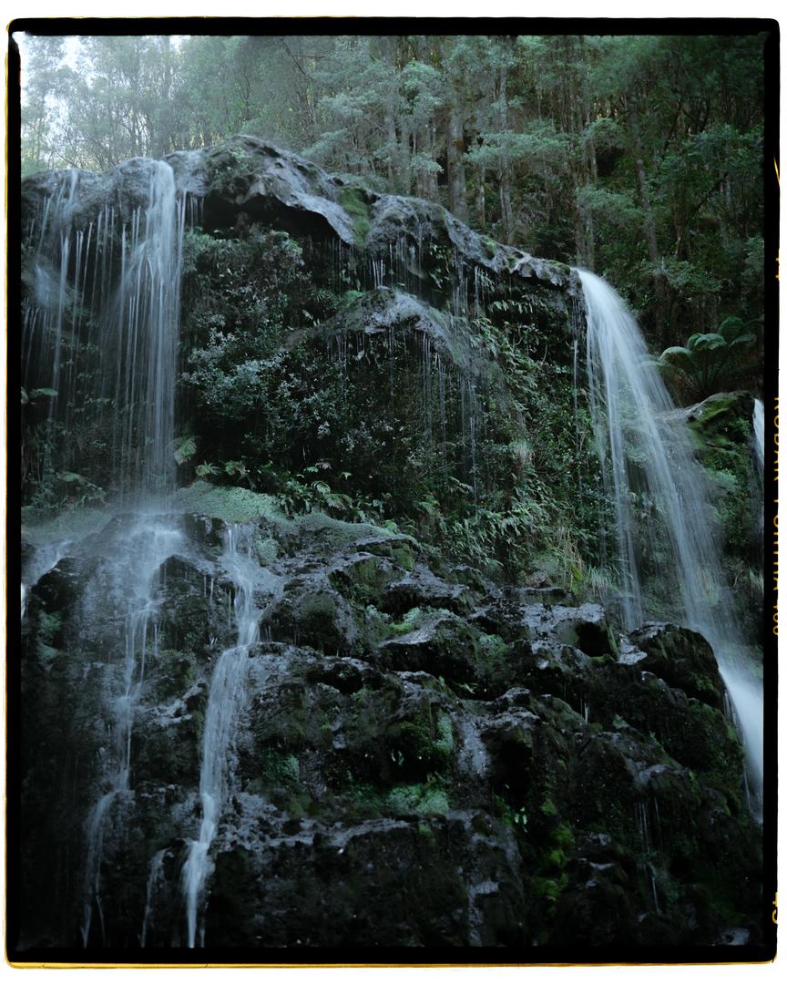 image 32719 by ChipSlut