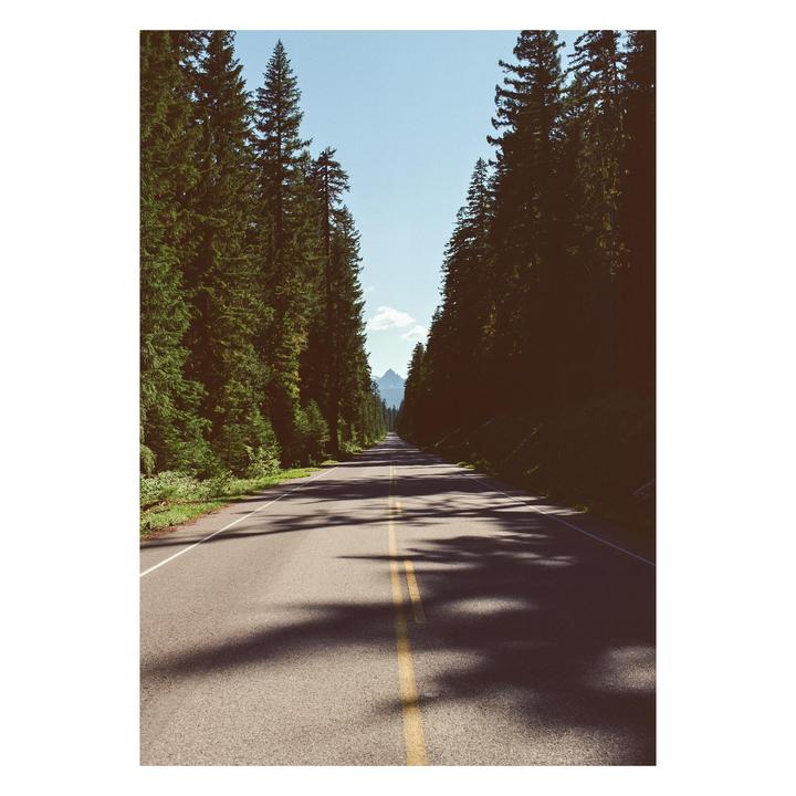 Mountain Road | Pentax 67 | Kodak Gold | 75 mm f4.5