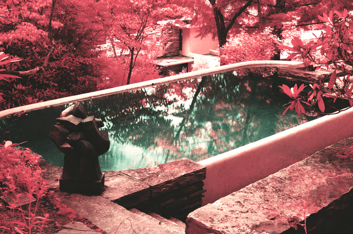 Rear Pool, Fallingwater [Rollei IR | Canon EOS A2 | Zeiss 50mm T* ZE]