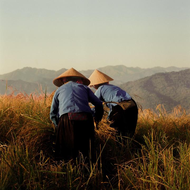 Bình Liêu, Fuji pro 400h, Bronica SQ-A, 80mm f/2.8
