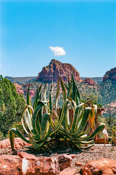 Sedona Arizona on CineStill 800