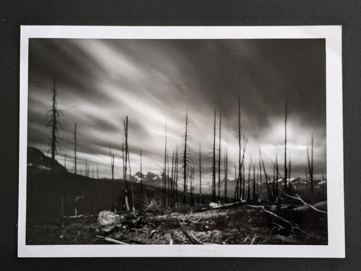 Glacier National Park, Zeroimgae 6x6 Pinhole, 5x7 RC print.
